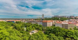 Prodej bytu 2+kk, 63 m², Rejskova, Vinohrady, Praha 2