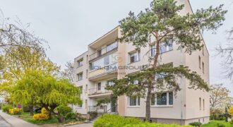 Prodej bytu 2+kk (2+1), 43 m², sklep, Michle, OV, po úpravách